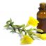 Best Hair Products Enriched With Evening Primrose Oil